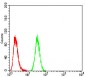 NFKBIA Antibody